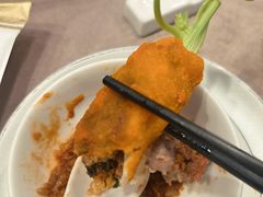 -丁老爷子苏香圆