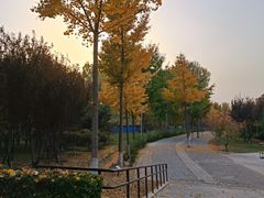 -东升八家郊野公园