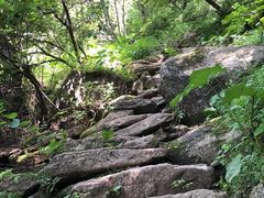 -王顺山国家森林公园