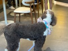 -孟林厨房(798店)