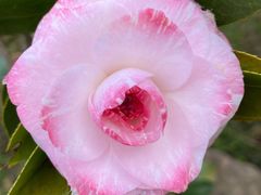 -昆明市金殿名胜区