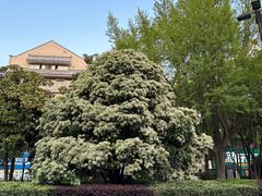-水墨澜渟足道·SPA·传统(四望亭东关街店)
