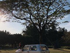-南沙蒲洲花园