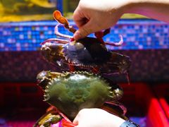 -巽寮印象美食部落餐厅·海鲜·地方特色菜(惠州体验店)