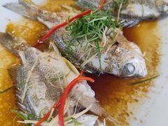 清蒸腊鱼-横琴湖畔美食
