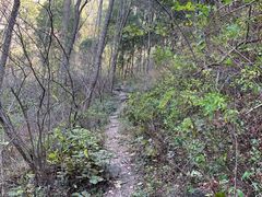 -龙洞风景区-藏龙涧