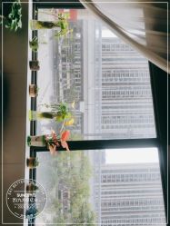 -尚艺造型.剪烫染.接发