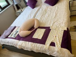 -海豚湾高端月子会所(黄浦店)