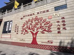 -大槐树寻根祭祖园