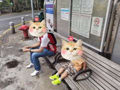 -安德鲁饼店(总店)