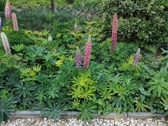 -郑州中国绿化博览园