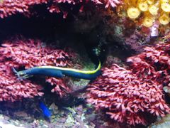 -海合安成都极地海洋公园