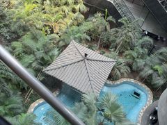 -黑龙江中医药大学附属第一医院