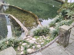 -成都市活水公园