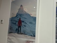-三里屯东五街银杏大道