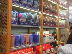 -line friends(明洞旗舰店)