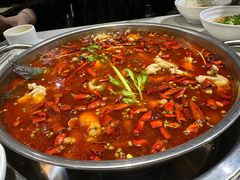 -蛙蛙鸡冷锅鱼(驷马桥店)