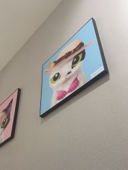 -洗脸猫·洗脸吧