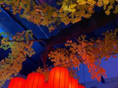 大堂-龙泉小镇(科圣路店)