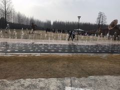 -黄海国家森林公园