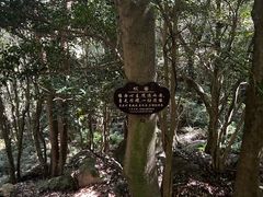 -普陀山风景区-佛顶山