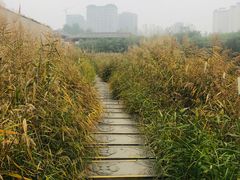 -西安汉城湖景区