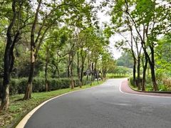 -火炉山森林公园