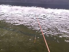 -会江钓鱼钓虾烧烤场