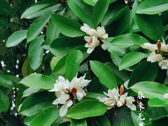 -白塘生态植物园