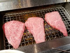 -俺的焼肉(銀座9丁目店)