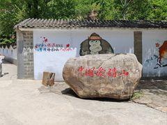-爱情山风景区