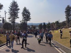 -枫香湖儿童公园