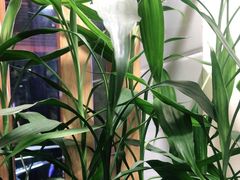 -爱脊康新中式推拿(江汉路步行街店)