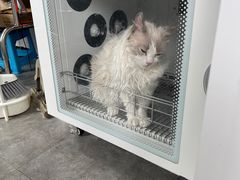 -宠颐生动物医院·心脏科·保险定点(锦阳分院)