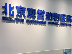 -北京观赏动物医院·24小时大型综合·猫专科·异宠专科