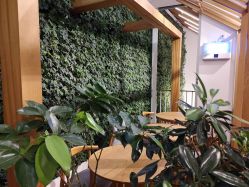 -悦诗风吟innisfree