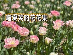 -玄武湖景区-情侣园游乐场