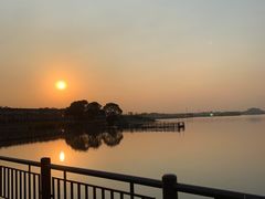 -鹅湖玫瑰文化园