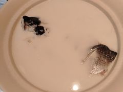 -久宴·天目湖大鱼头(恐龙园店)