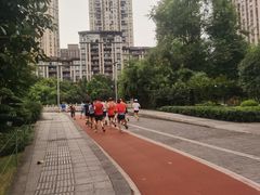 -龙头寺公园