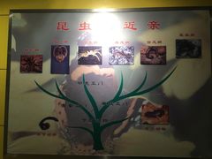 -上海昆虫博物馆