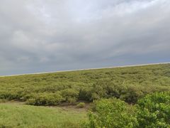 -北海金海湾红树林生态旅游区