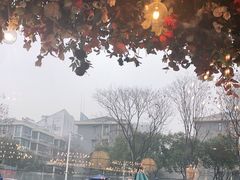 -成都娃娃花园餐厅 (南艺旗舰店)