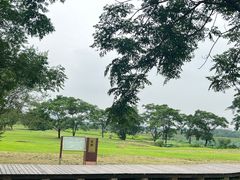 -盘龙城遗址博物院