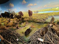 -陕西自然博物馆