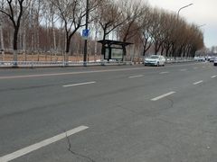 -哈尔滨大剧院