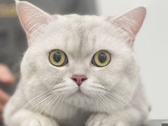 -comecome来吧宠物(奥克斯中心店)