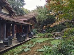 -中国茶叶博物馆(双峰馆区)
