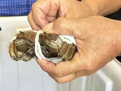 -丫丫蟹庄·苏式园林农家乐·阳澄湖大闸蟹(阳澄湖莲花岛店)