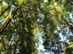 -山王坪喀斯特国家生态公园